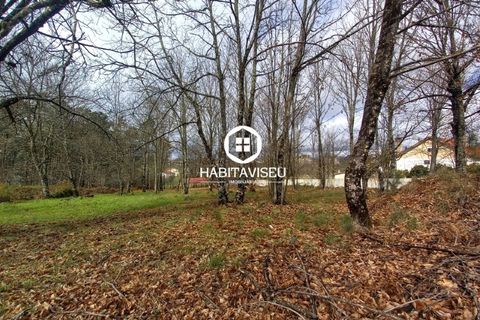 Terra a Satao, Viseu, Satao - € 40.000 | Ref: SÒL_2313 - foto 6