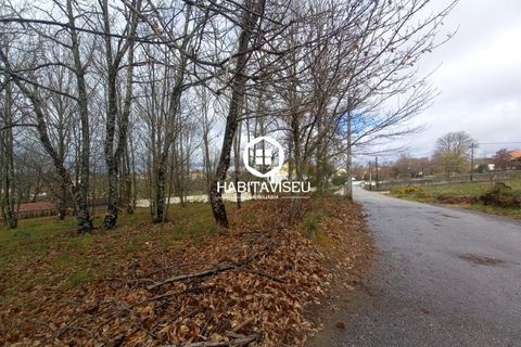 Terra a Satao, Viseu, Satao - € 40.000 | Ref: SÒL_2313 - foto 7