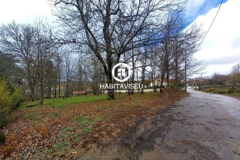 Terra a Satao, Viseu, Satao - € 40.000 | Ref: SÒL_2313 - foto 9