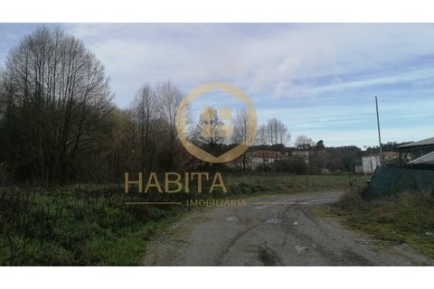 Helårsgrund i Viseu, Viseu, Viseu - € 1.042.200 | Ref: 2732 - foto 5