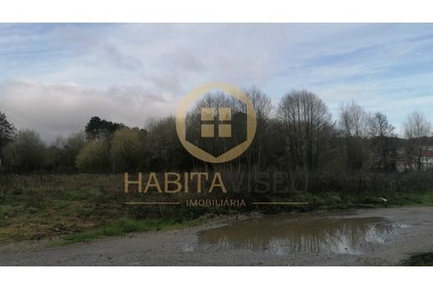 Helårsgrund i Viseu, Viseu, Viseu - € 1.042.200 | Ref: 2732 - foto 6
