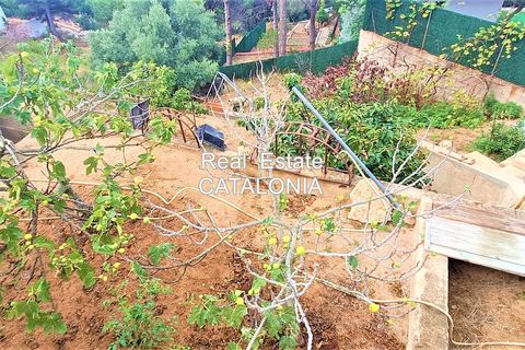 Villa i Lloret De Mar, Gerona, Lloret De Mar - € 499.000 | Ref: VC-4133 - foto 32