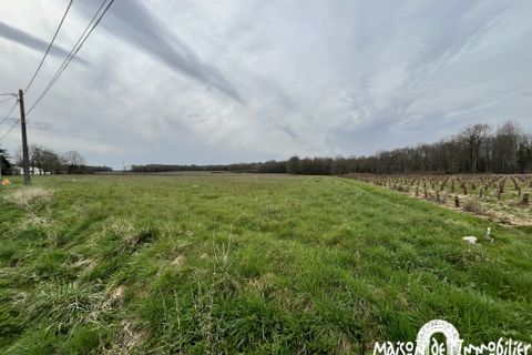 Terra a Cherac, Charente-Maritime, Cherac - € 42.220 | Ref: PHVTE100007183 - foto 2