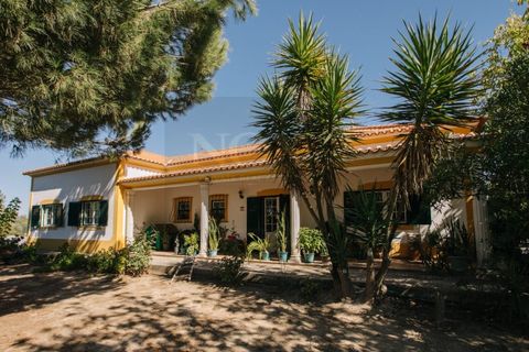 Farm i Coruche, Santarem, Coruche - € 485.000 | Ref: NOX_02 - foto 1