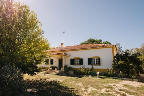 Farm i Coruche, Santarem, Coruche - € 485.000 | Ref: NOX_02 - foto 2