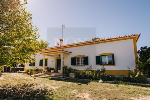 Farm i Coruche, Santarem, Coruche - € 485.000 | Ref: NOX_02 - foto 3