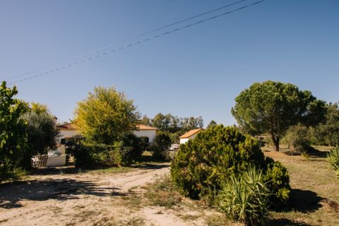 Farm i Coruche, Santarem, Coruche - € 485.000 | Ref: NOX_02 - foto 5