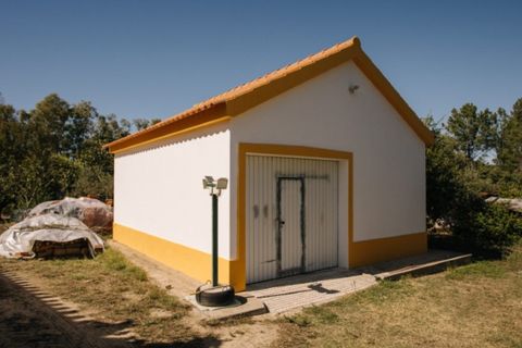 Farm i Coruche, Santarem, Coruche - € 485.000 | Ref: NOX_02 - foto 6