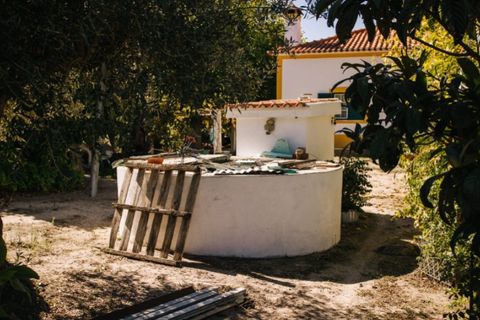 Farm i Coruche, Santarem, Coruche - € 485.000 | Ref: NOX_02 - foto 7