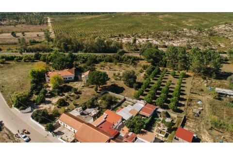 Farm i Coruche, Santarem, Coruche - € 485.000 | Ref: NOX_02 - foto 9
