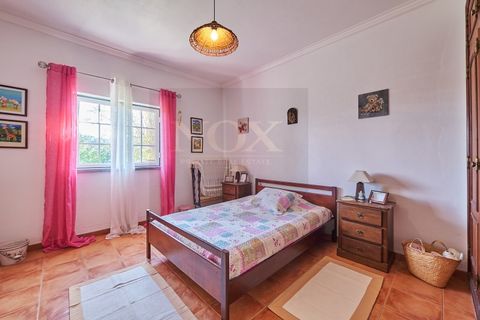 Farm i Coruche, Santarem, Coruche - € 485.000 | Ref: NOX_02 - foto 18
