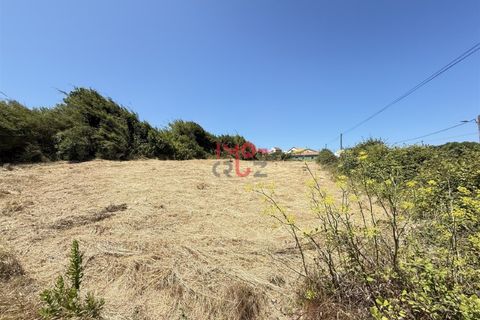 Helårsgrund i Santo Onofre e Serra do Bouro, Leiria, Santo Onofre e Serra do Bouro - € 160.000 | Ref: FL009-25 - foto 2