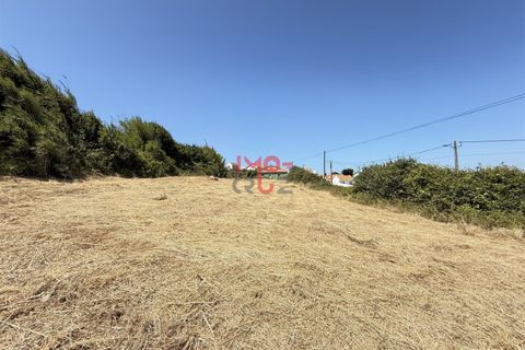 Helårsgrund i Santo Onofre e Serra do Bouro, Leiria, Santo Onofre e Serra do Bouro - € 160.000 | Ref: FL009-25 - foto 3
