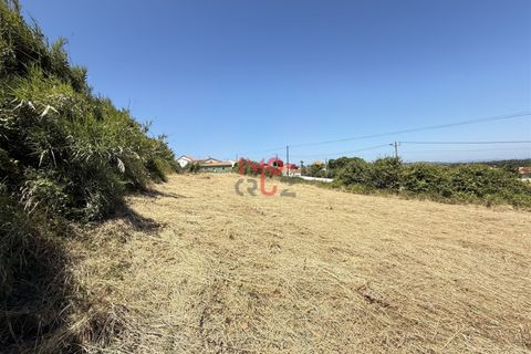 Helårsgrund i Santo Onofre e Serra do Bouro, Leiria, Santo Onofre e Serra do Bouro - € 160.000 | Ref: FL009-25 - foto 6