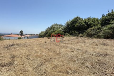 Helårsgrund i Santo Onofre e Serra do Bouro, Leiria, Santo Onofre e Serra do Bouro - € 160.000 | Ref: FL009-25 - foto 7