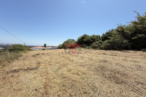 Helårsgrund i Santo Onofre e Serra do Bouro, Leiria, Santo Onofre e Serra do Bouro - € 160.000 | Ref: FL009-25 - foto 8