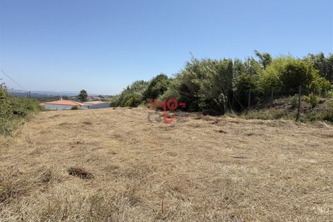 Helårsgrund i Santo Onofre e Serra do Bouro, Leiria, Santo Onofre e Serra do Bouro - € 160.000 | Ref: FL009-25 - foto 9