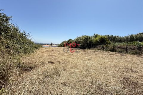 Helårsgrund i Santo Onofre e Serra do Bouro, Leiria, Santo Onofre e Serra do Bouro - € 160.000 | Ref: FL009-25 - foto 10