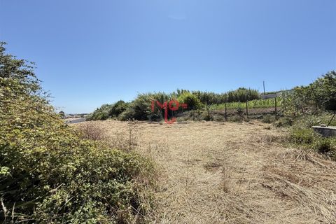 Helårsgrund i Santo Onofre e Serra do Bouro, Leiria, Santo Onofre e Serra do Bouro - € 160.000 | Ref: FL009-25 - foto 11
