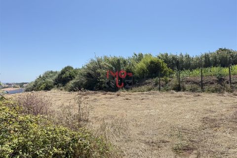 Helårsgrund i Santo Onofre e Serra do Bouro, Leiria, Santo Onofre e Serra do Bouro - € 160.000 | Ref: FL009-25 - foto 12