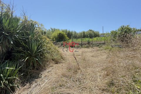 Helårsgrund i Santo Onofre e Serra do Bouro, Leiria, Santo Onofre e Serra do Bouro - € 160.000 | Ref: FL009-25 - foto 13