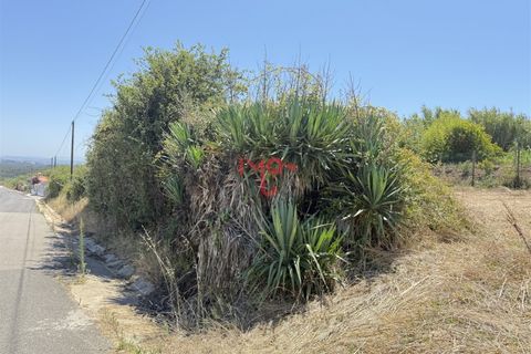 Helårsgrund i Santo Onofre e Serra do Bouro, Leiria, Santo Onofre e Serra do Bouro - € 160.000 | Ref: FL009-25 - foto 14