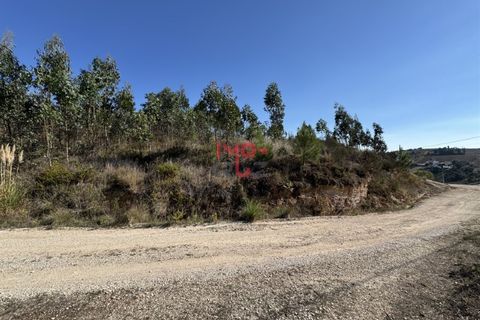 Helårsgrund i Matacaes, Lisbon, Matacaes - € 250.000 | Ref: MF007-25 - foto 3