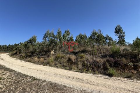 Helårsgrund i Matacaes, Lisbon, Matacaes - € 250.000 | Ref: MF007-25 - foto 4