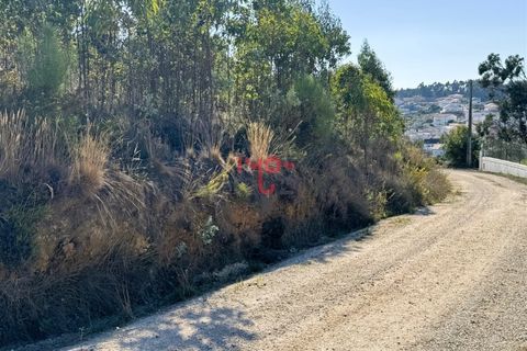 Helårsgrund i Matacaes, Lisbon, Matacaes - € 250.000 | Ref: MF007-25 - foto 5