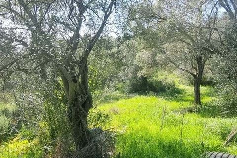 Villa i Silves, Faro, Silves - € 165.000 | Ref: 348 - foto 5