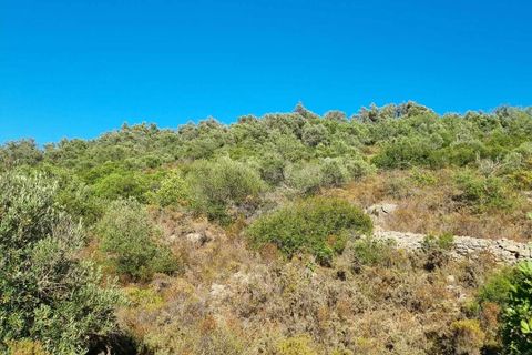 Helårsgrund i Silves, Faro, Silves - € 115.000 | Ref: 349 - foto 2