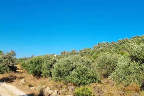 Helårsgrund i Silves, Faro, Silves - € 115.000 | Ref: 349 - foto 3