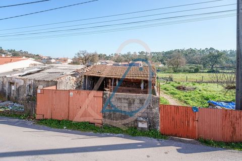 Villa a Fatima, Santarem, Fatima - € 69.900 | Ref: CV11010-156 - foto 4
