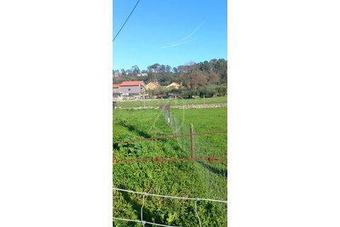 Villa a Fatima, Santarem, Fatima - € 69.900 | Ref: CV11010-156 - foto 12