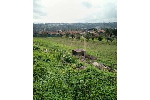 Terra a Gondemaria e Olival, Santarem, Gondemaria e Olival - € 51.000 | Ref: CV11001-380 - foto 3