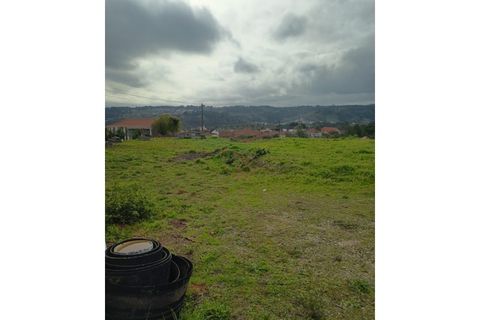 Terra a Gondemaria e Olival, Santarem, Gondemaria e Olival - € 51.000 | Ref: CV11001-380 - foto 5
