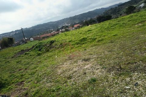 Terra a Gondemaria e Olival, Santarem, Gondemaria e Olival - € 51.000 | Ref: CV11001-380 - foto 2