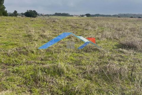 Helårsgrund i Coruche, Santarem, Coruche - € 80.000 | Ref: 73TerrenoBranca - foto 3