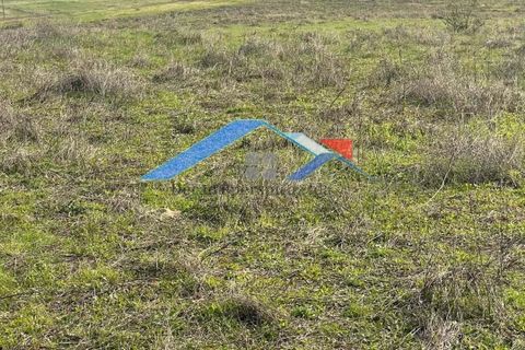 Helårsgrund i Coruche, Santarem, Coruche - € 80.000 | Ref: 73TerrenoBranca - foto 4