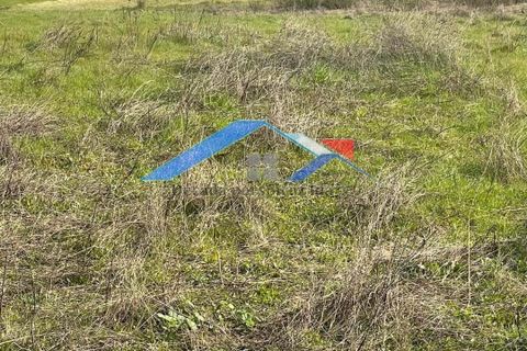 Helårsgrund i Coruche, Santarem, Coruche - € 80.000 | Ref: 73TerrenoBranca - foto 5