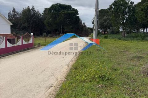 Helårsgrund i Coruche, Santarem, Coruche - € 80.000 | Ref: 73TerrenoBranca - foto 7