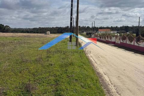 Helårsgrund i Coruche, Santarem, Coruche - € 80.000 | Ref: 73TerrenoBranca - foto 8