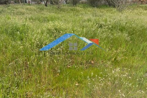 Helårsgrund i Coruche, Santarem, Coruche - € 69.000 | Ref: 3837Terreno_Couço - foto 5