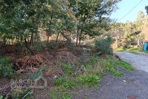 Helårsgrund i Vila Verde, Braga, Vila Verde - € 55.000 | Ref: 56/26 - foto 6