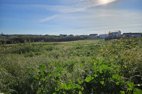 Helårsgrund i Santo Onofre e Serra do Bouro, Leiria, Santo Onofre e Serra do Bouro - € 75.000 | Ref: BL1083 - foto 3