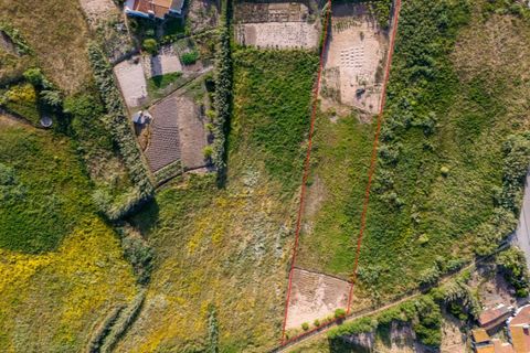 Helårsgrund i Santo Onofre e Serra do Bouro, Leiria, Santo Onofre e Serra do Bouro - € 75.000 | Ref: BL1083 - foto 6
