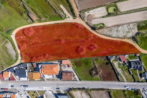 Helårsgrund i Ferrel, Leiria, Ferrel - € 750.000 | Ref: BL1337 - foto 5
