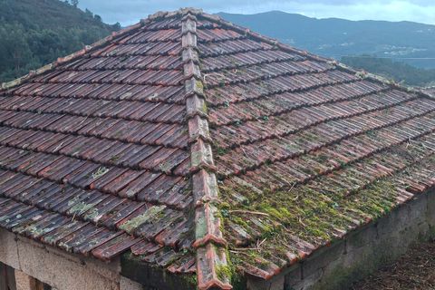 Villa i Ceivaes e Badim, Viana do Castelo, Ceivaes e Badim - € 67.000 | Ref: SF-SAFTI:007805 - foto 3