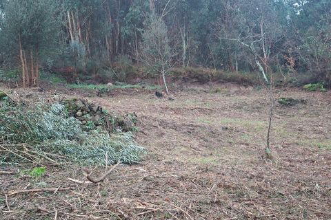 Villa i Ceivaes e Badim, Viana do Castelo, Ceivaes e Badim - € 67.000 | Ref: SF-SAFTI:007805 - foto 5