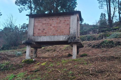 Villa i Ceivaes e Badim, Viana do Castelo, Ceivaes e Badim - € 67.000 | Ref: SF-SAFTI:007805 - foto 7